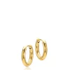 Hoops Earrings Gold - Sistie