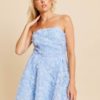 Rose Tube Dress Blue - Dry Lake