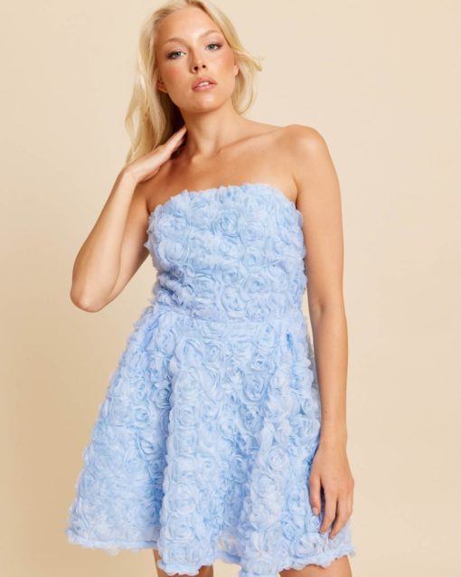 Rose Tube Dress Blue - Dry Lake