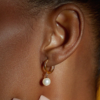 gallery-48789-for-4343243