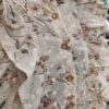 gallery-49037-for-486789897