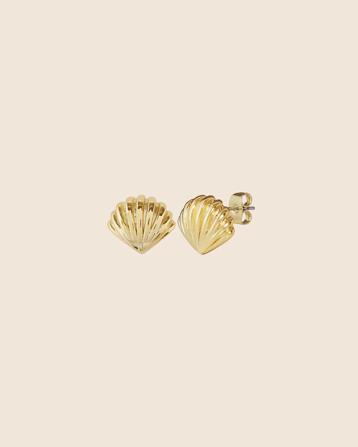 Sandra Shell Earstuds - Secrets By B