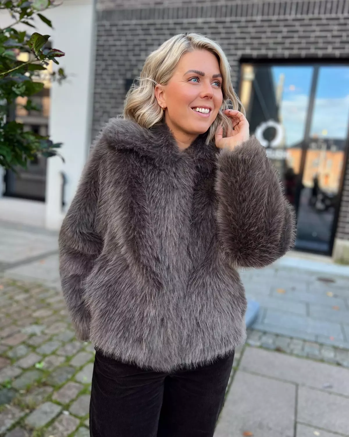 gallery-55355-for-3782789