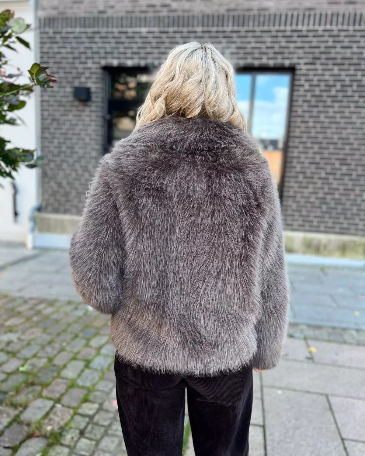 gallery-55356-for-3782789