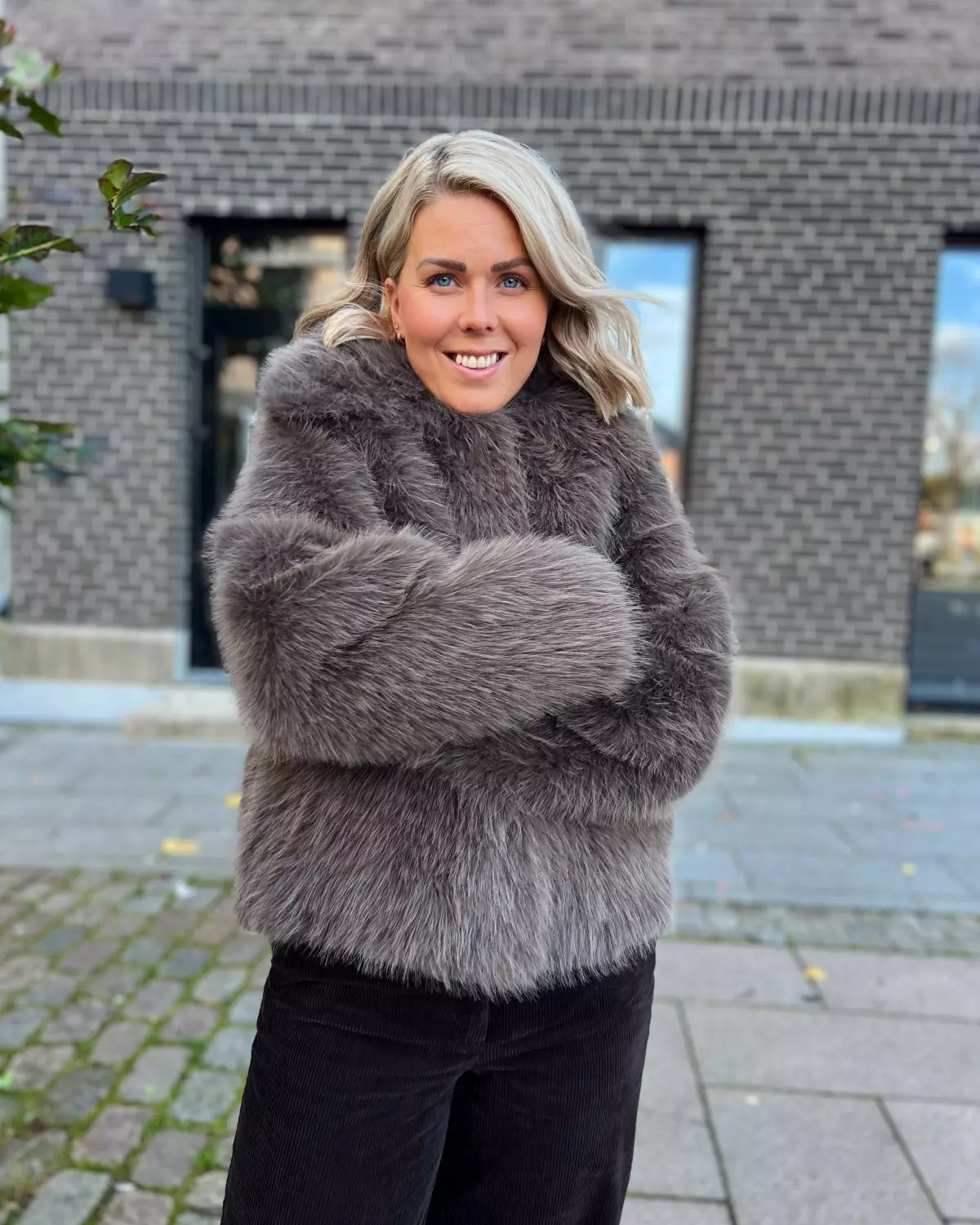 gallery-55357-for-3782789