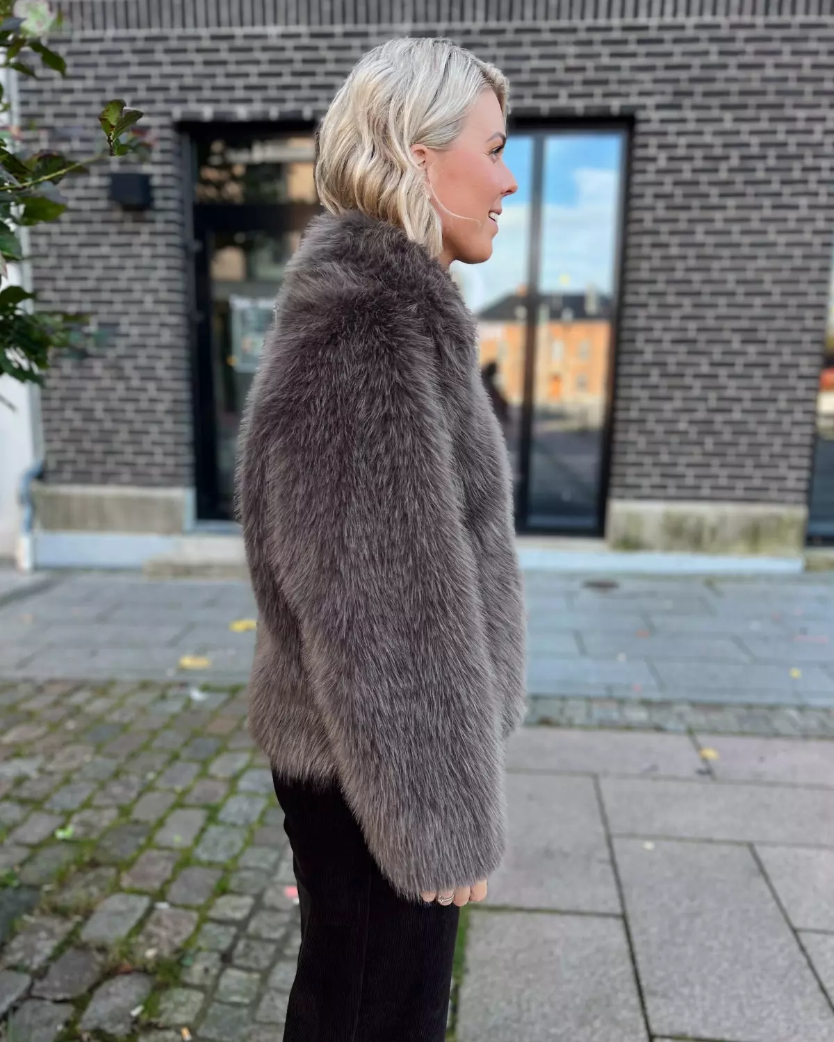 gallery-55358-for-3782789