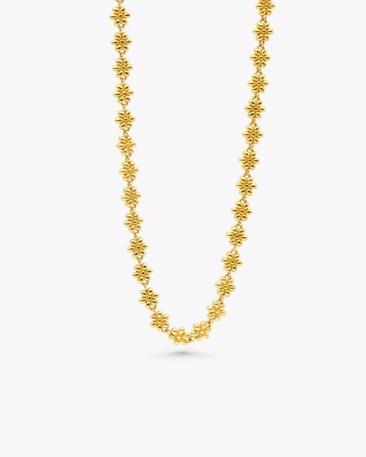 gallery-56675-for-785748578