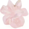 Plumeria Berry Big Baby Pink - Sui Ava