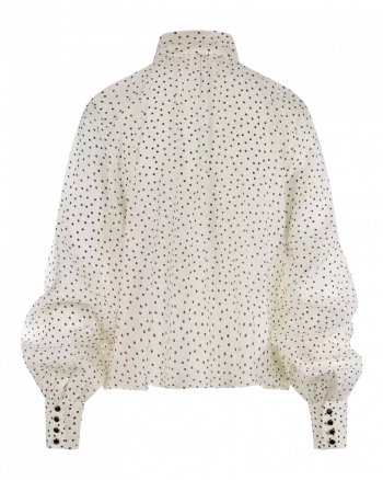 gallery-58717-for-90870