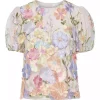 Yasflowering Top Lavendula - YAS