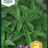 Basilikum, Sitron-, Lemon scent