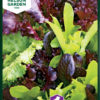 Salat, Baby Leaf, mix