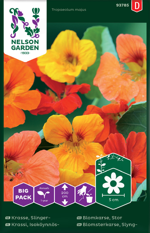 Blomkarse, Stor,   Big Pack