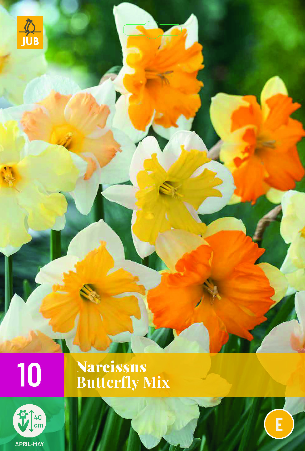 NARCISSI BUTTERFLY MIX 10
