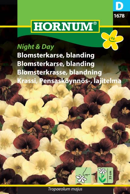P. FRØ BLOMKARSE NIGHT & DAY