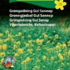 P.FRØ GRØNNGJØD GUL SENNEP(D)