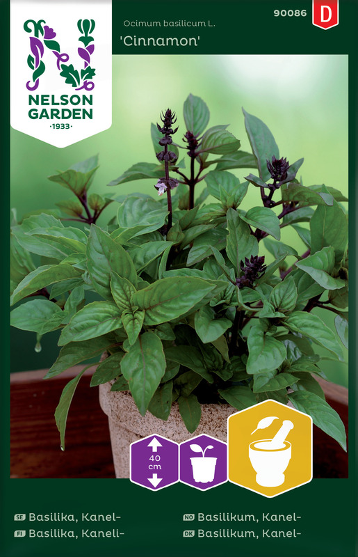 Basilikum, Kanel-, Cinnamon