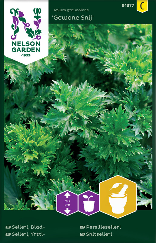 Persilleselleri, Gewone Snij