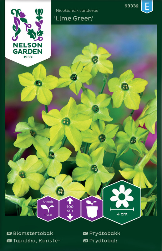 Prydtobakk, Lime Green