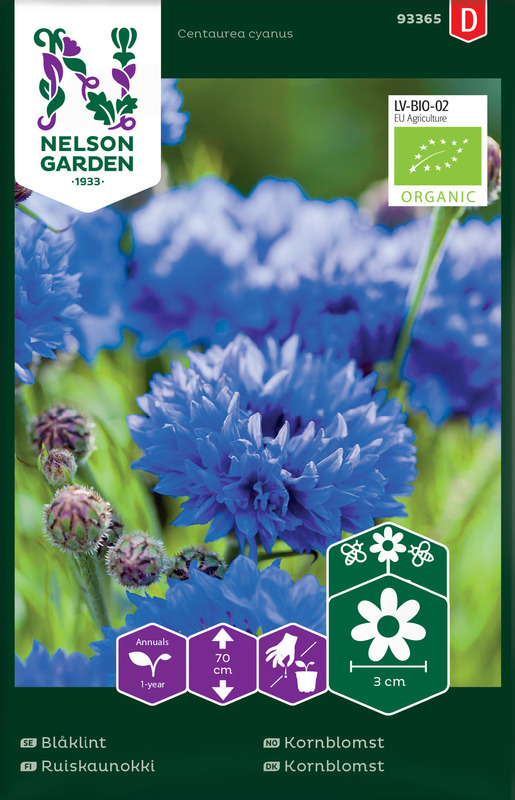 Kornblomst, høy, Organic