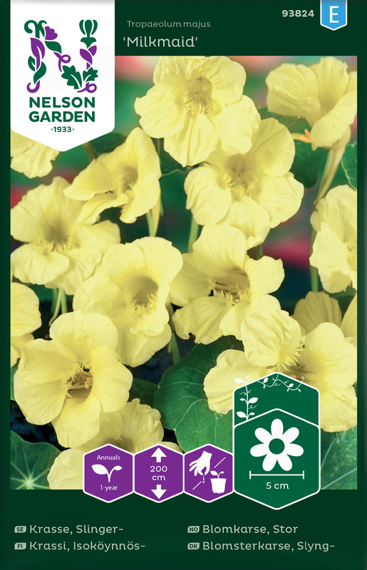 Blomkarse, Stor, Milkmaid