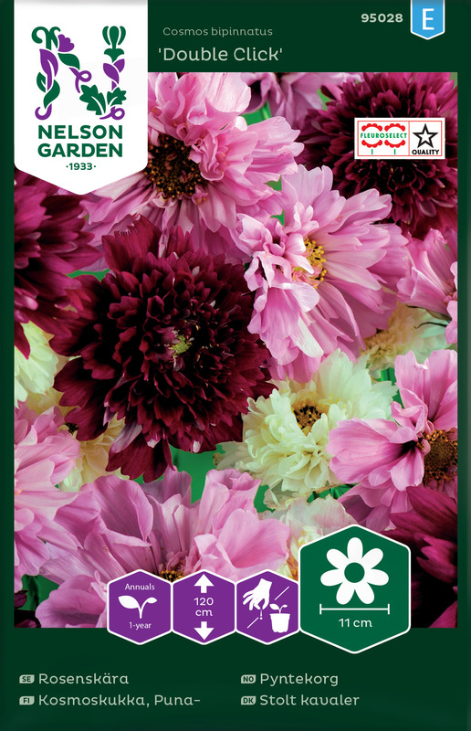 Pyntekorg, Double Click