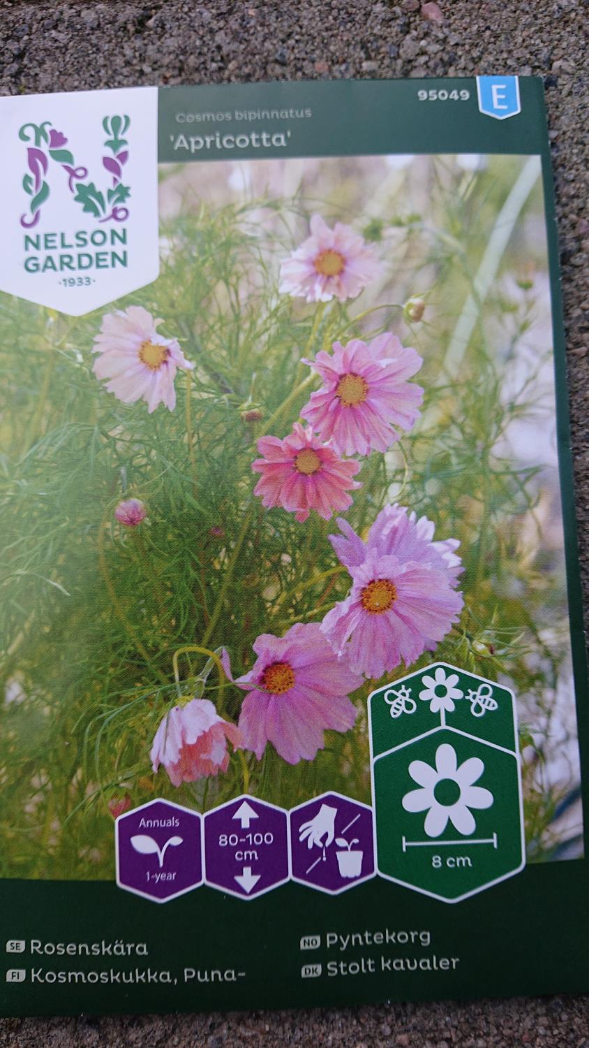 Pyntekorg `Apricotta`