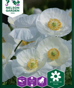 Valmue, Korn-, Bridal Silk