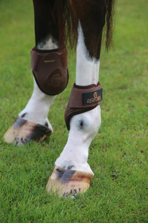 Kentucky Young Horses Fetlock Boots