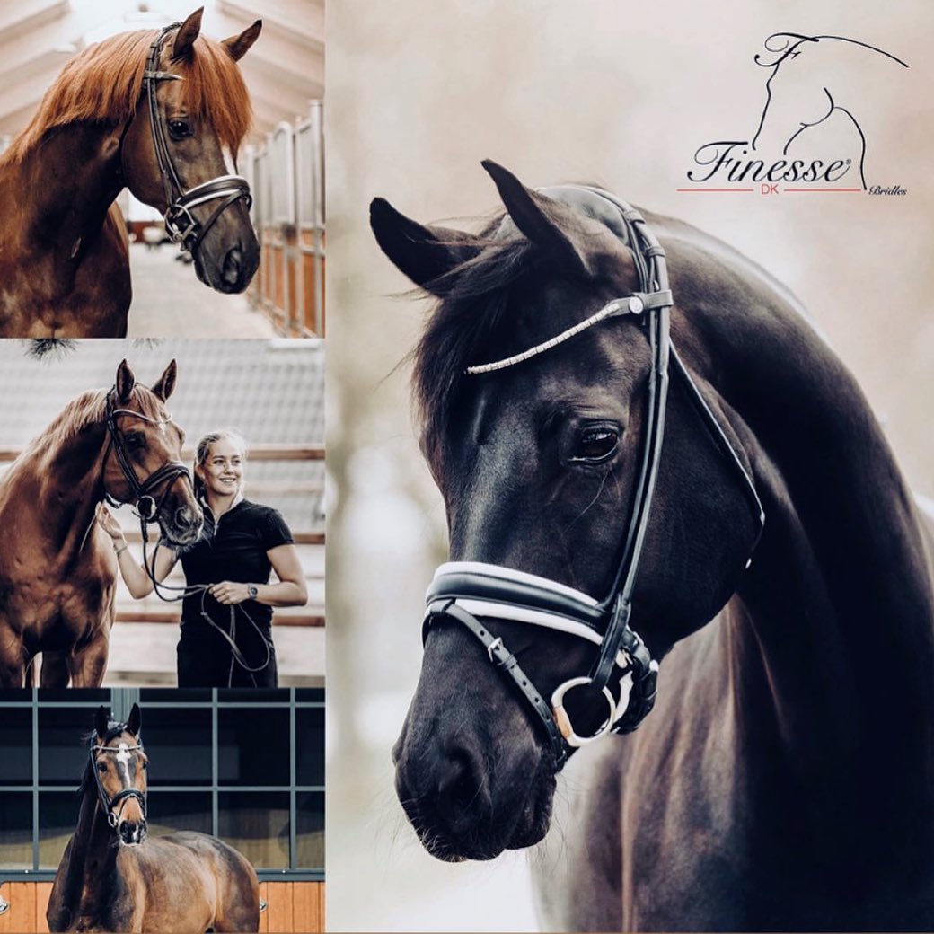 Finesse Bridles Engelsk Nesereim