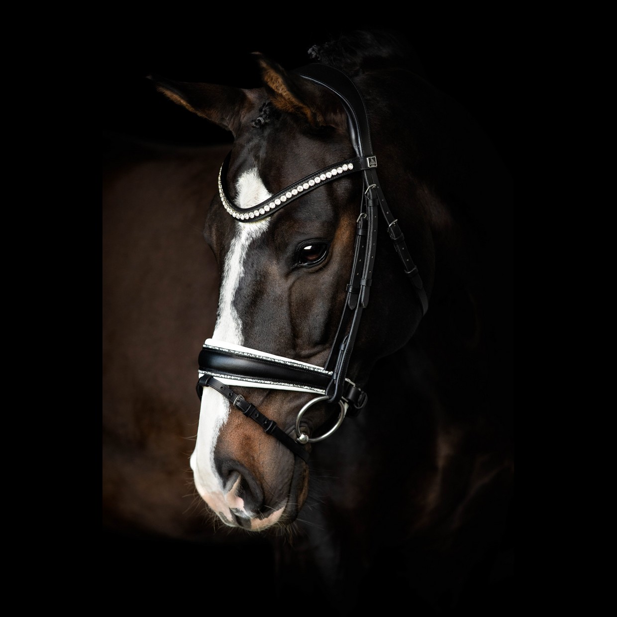 SD® CELEBRITY BRIDLE WITH CRYSTAL ROCKS. BLACK/WHITE.