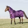 Kentucky Turnout Rug All Weather Waterproof Pro 160g