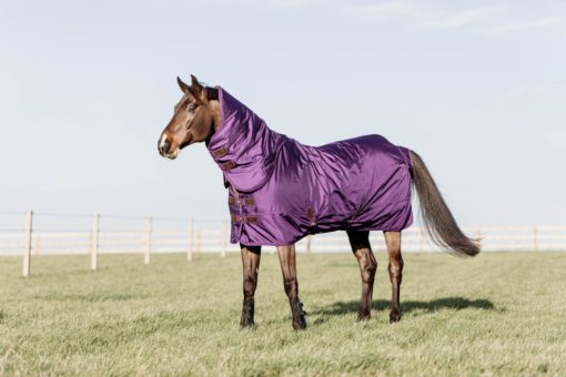 Kentucky Turnout Rug All Weather Waterproof Pro 160g