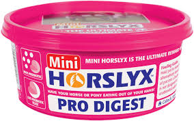 Horslyx Pro Digest