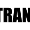HESTETRANSPORT - klistremereke