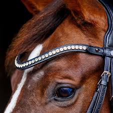 SD® Marzog Browband.