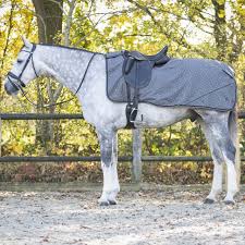 QHP Exercise sheet 1200D turnout collection fleece. Grey Reflective