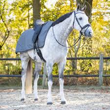 gallery-8467-for-103863