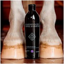 Grooming Deluxe Almond Gloss Purple Shampoo(331)