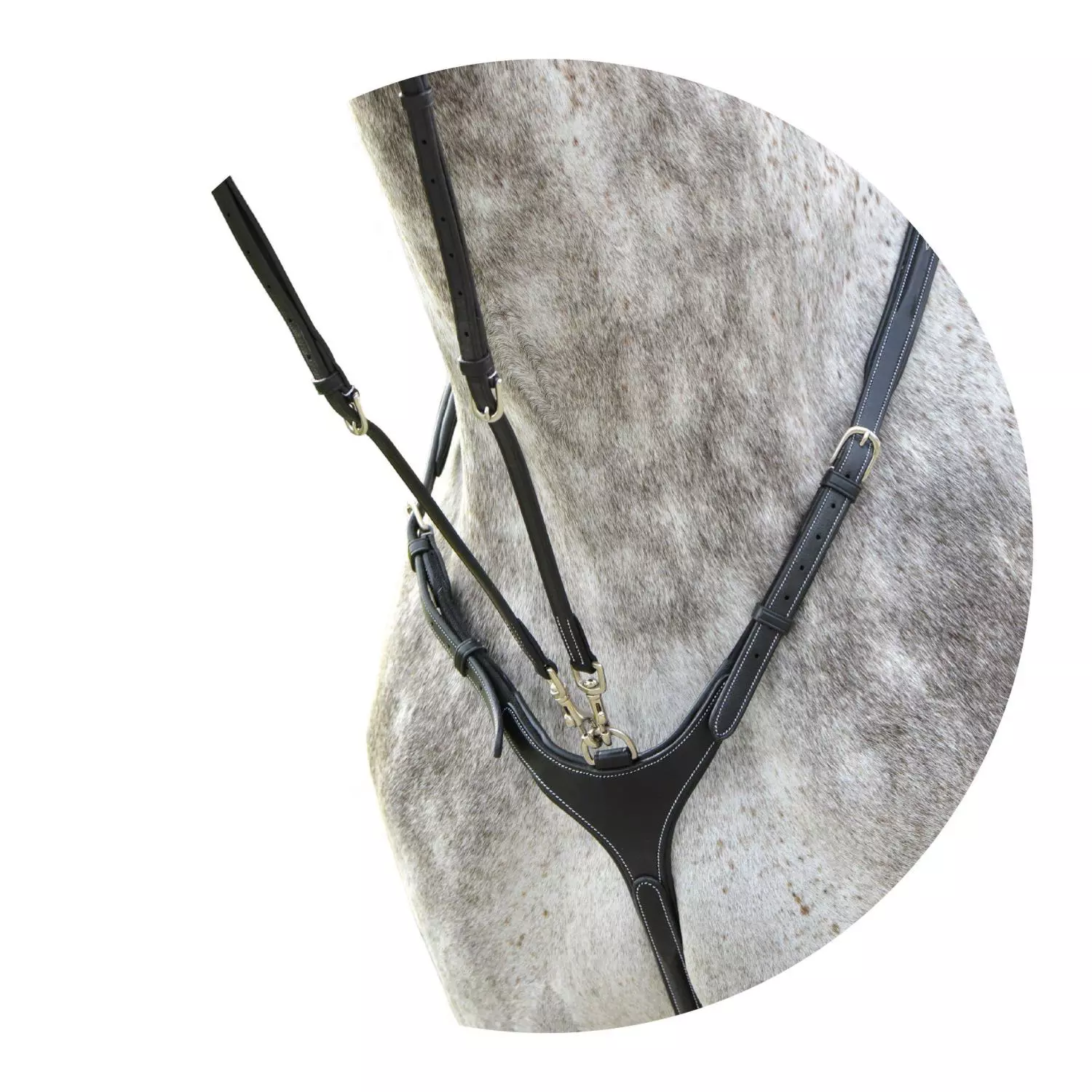 Lippo fortøy med martingal