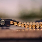 Finesse Pannereim Sort lær, med store swarovski stener.