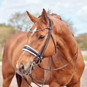 Finesse Cassidy Kandar