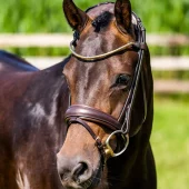 gallery-9615-for-103975