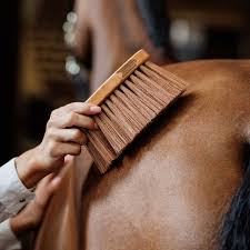 gallery-11671-for-103999