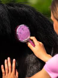 gallery-11737-for-104017