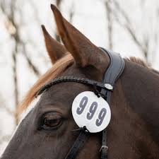 gallery-11741-for-104022