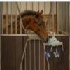 Horse toy Novy