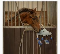 Horse toy Novy