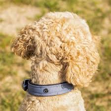 QHP Halsbånd til hund