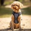 QHP Sele til hund